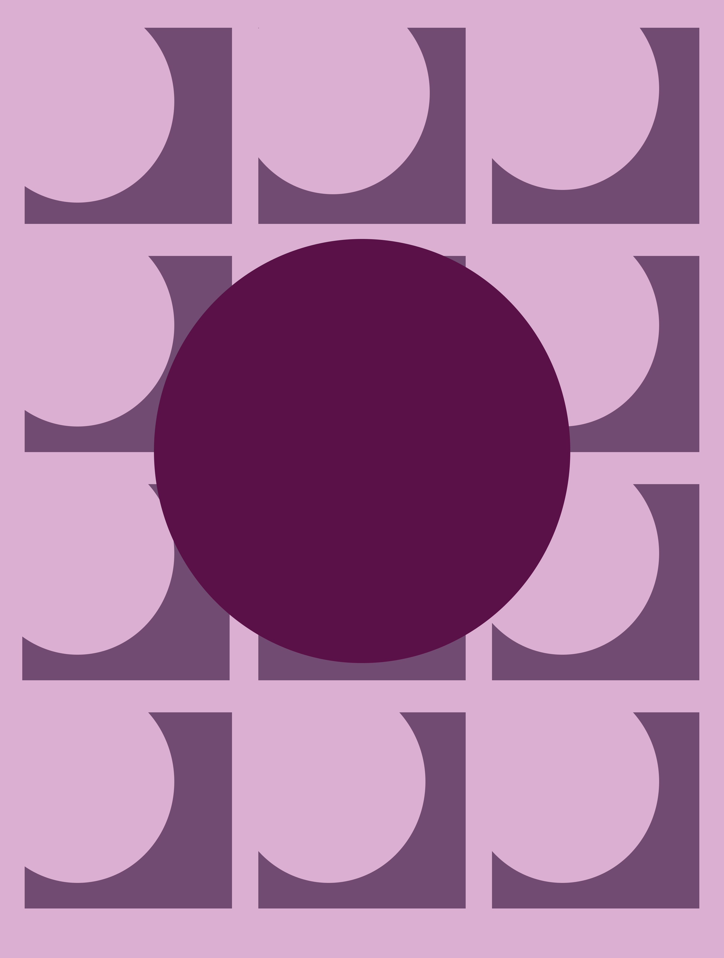 Willow Image 3